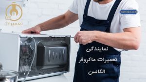 نمایندگی تعمیر ماکروفر الگانس