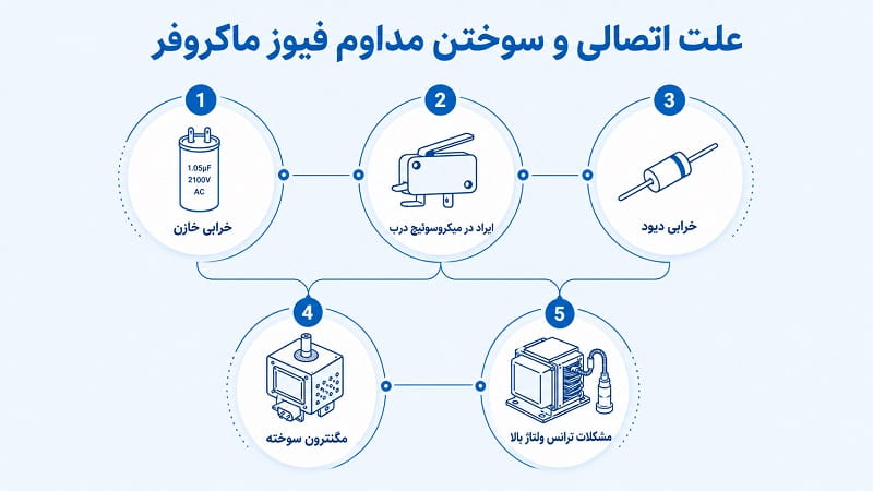 مشکل پریدن فیوز مایکروویو